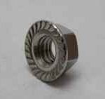 Serrated Flange Nut